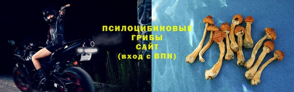 apvp Баксан